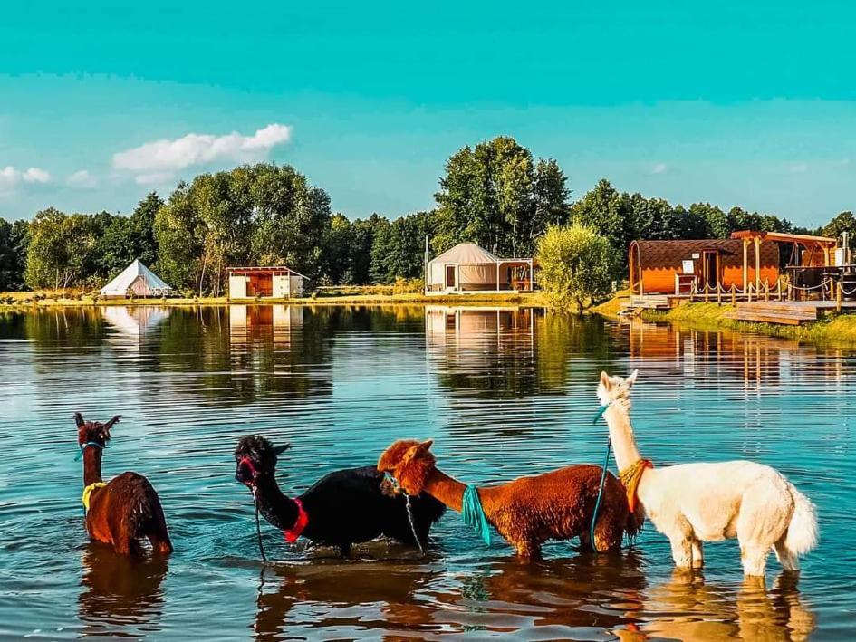 Отель Jurty Glamping Гостынин Экстерьер фото
